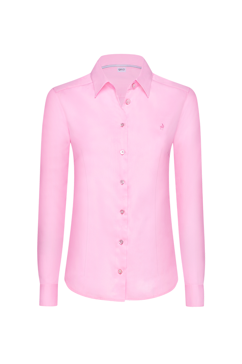 rosa 60