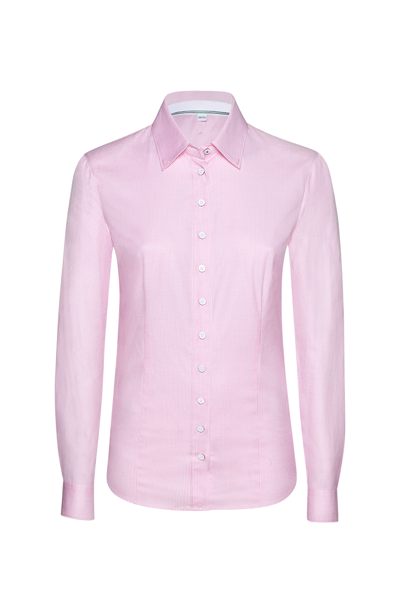 rosa 61