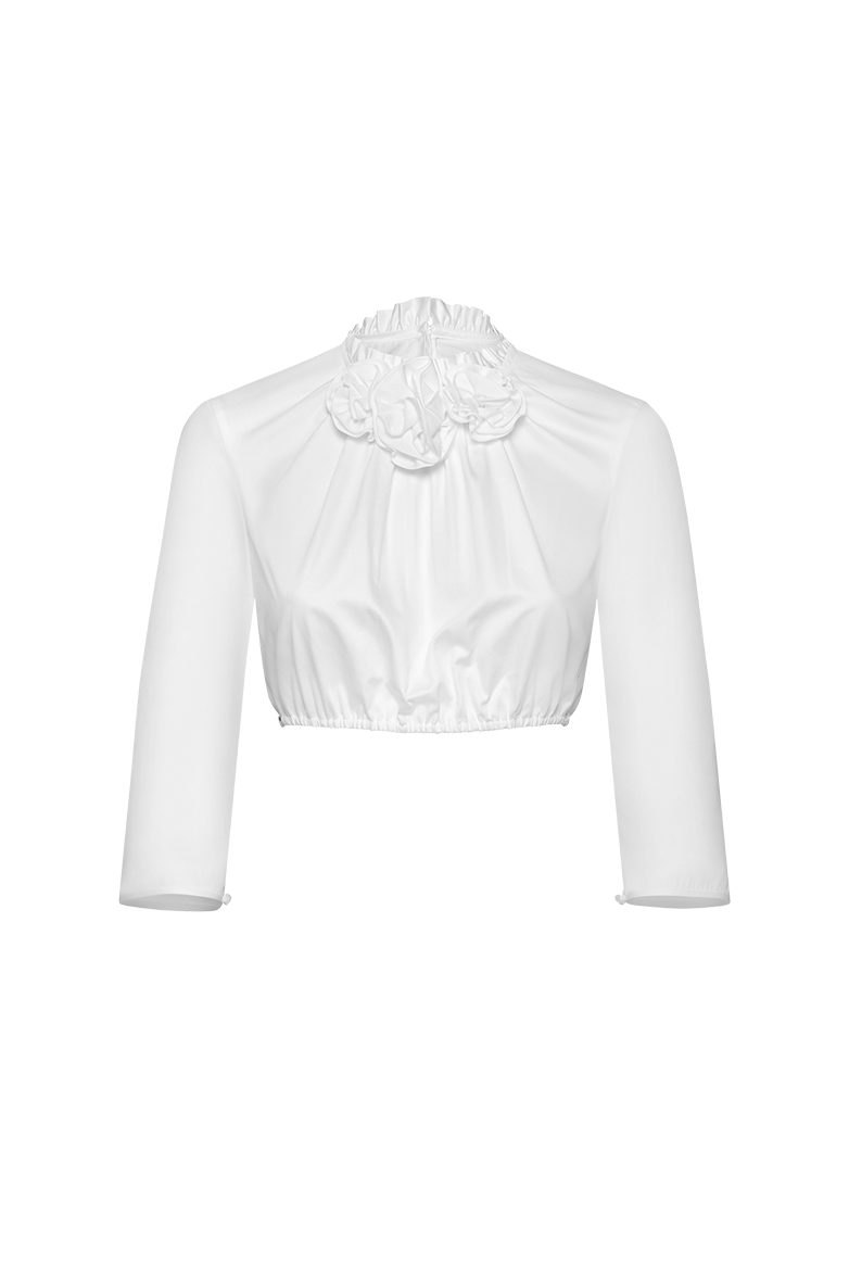 Rosenbluse - Bild 1