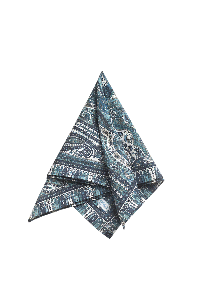 All Paisley - Image 1